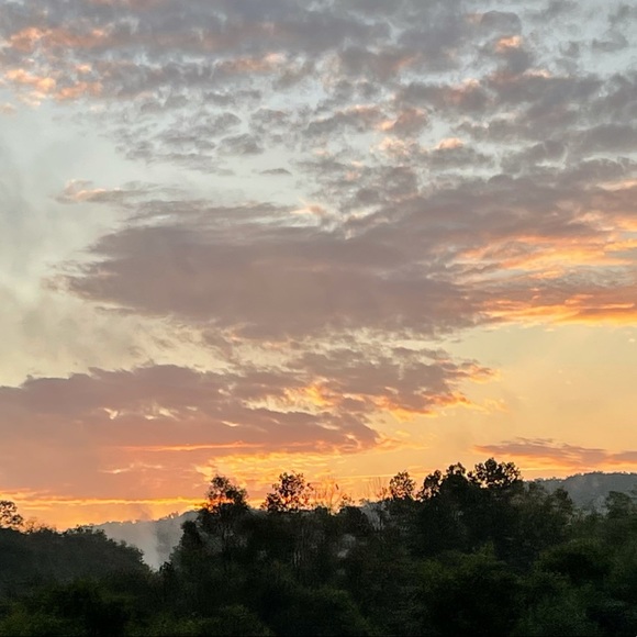 Meet your Posher, Kelsey - Picture 1 of 1